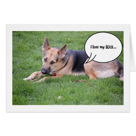 German Shepherd Humor Cards (Front Horizontal)