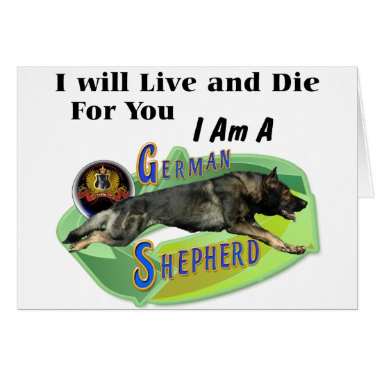German Shepherd 