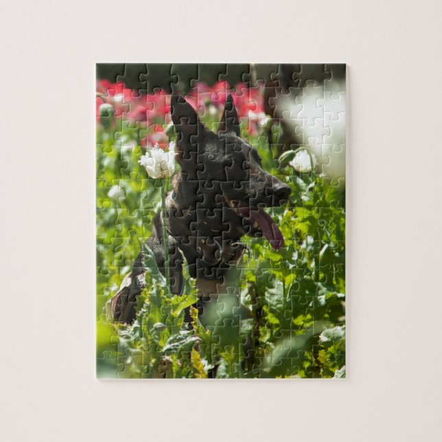 German Shepherd in a Field Jigsaw Puzzle (Vertical)