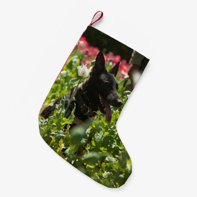 German Shepherd in a Field Small Christmas Stocking (Front (Hanging))