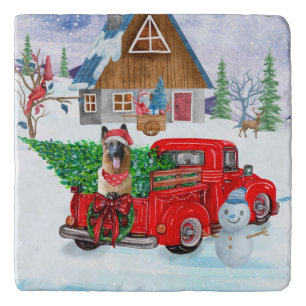 German Shepherd In Christmas Delivery Truck Snow Trivet