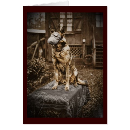 German Shepherd in Gas Mask Cards (Front)