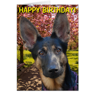 German Shepherd Birthday Cards | Zazzle