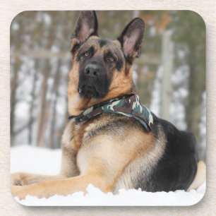 German Shepherd In Snow Beverage Coaster