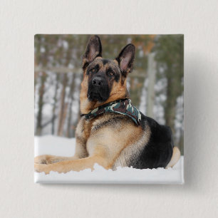 German Shepherd In Snow Button