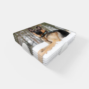 German Shepherd In Snow Coaster Set