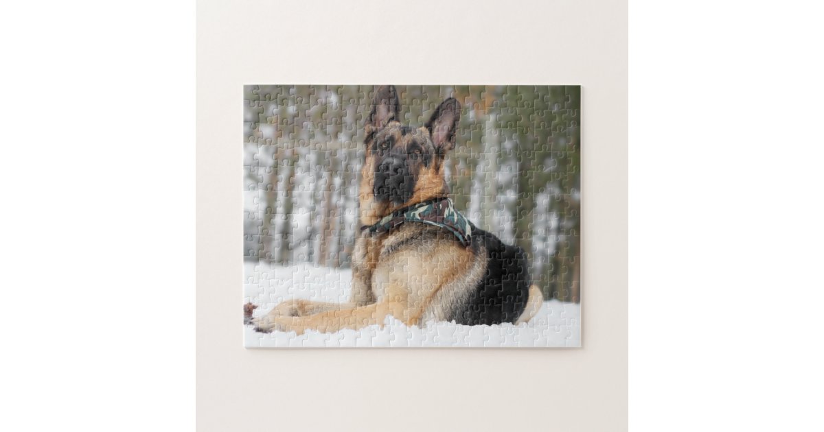 https://rlv.zcache.com/german_shepherd_in_snow_jigsaw_puzzle-r93ce5a99deb3474292cac7453a711e2e_amb07_8byvr_630.jpg?view_padding=%5B285%2C0%2C285%2C0%5D