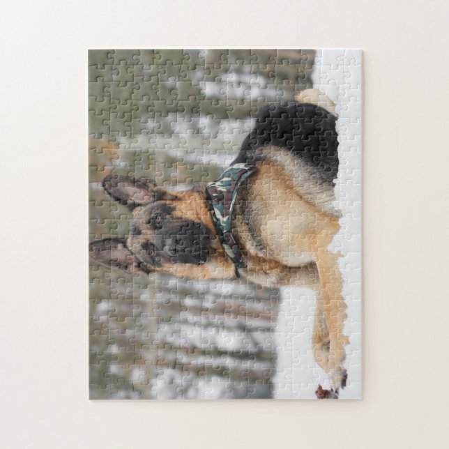 https://rlv.zcache.com/german_shepherd_in_snow_jigsaw_puzzle-r93ce5a99deb3474292cac7453a711e2e_ambn9_8byvr_644.jpg