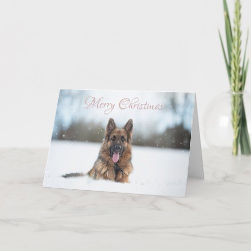German Shepherd in the snow at Christmas Card
