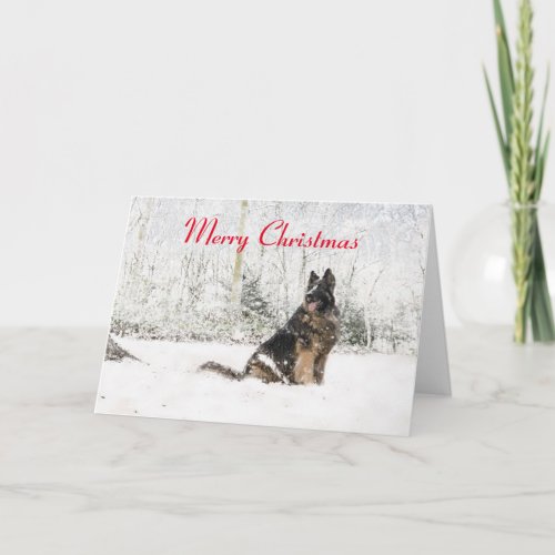 German Shepherd in the snow Holiday Card