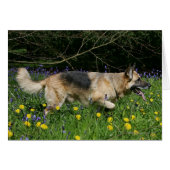 German Shepherd in Yellow Flowers (Front Horizontal)