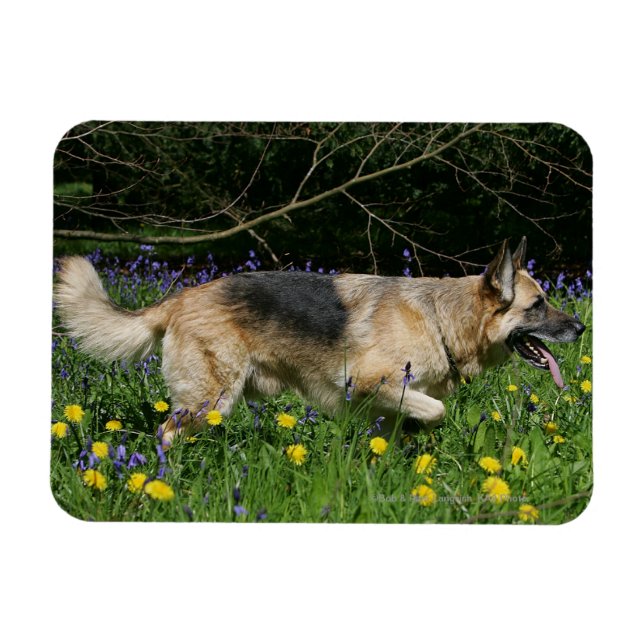 German Shepherd in Yellow Flowers Magnet (Horizontal)