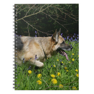 German Shepherd in Yellow Flowers Notebook