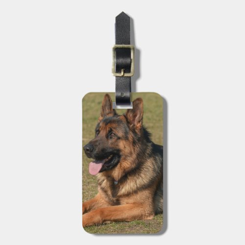 German Shepherd Insert Your Own Photo Luggage Tag