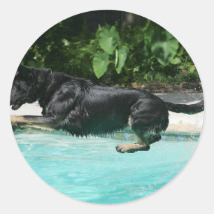 German Shepherd Jumping in Water Classic Round Sticker