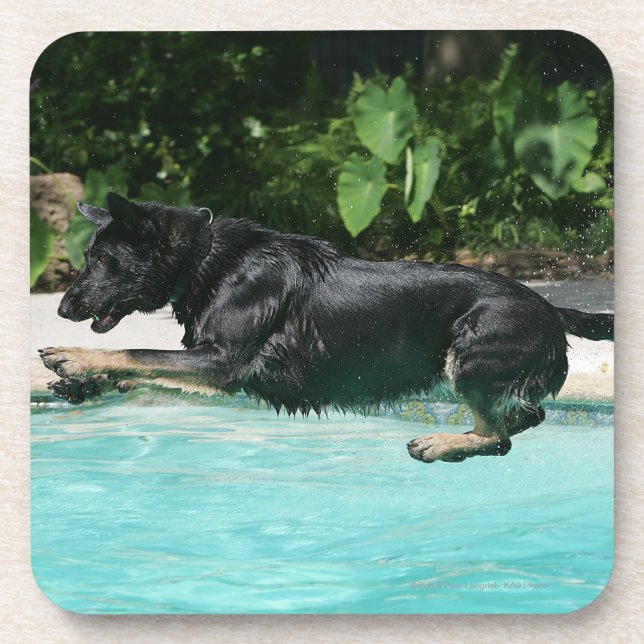 German Shepherd Jumping in Water Drink Coaster (Front)