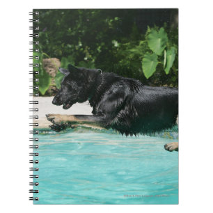 German Shepherd Jumping in Water Notebook
