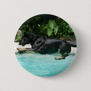 German Shepherd Jumping in Water Pinback Button
