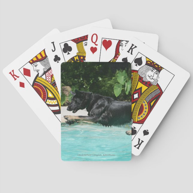 German Shepherd Jumping in Water Poker Cards (Back)