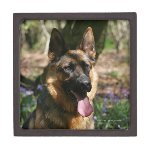 German Shepherd Keepsake Box