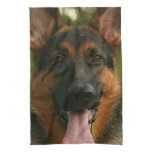 German Shepherd Kitchen Towel