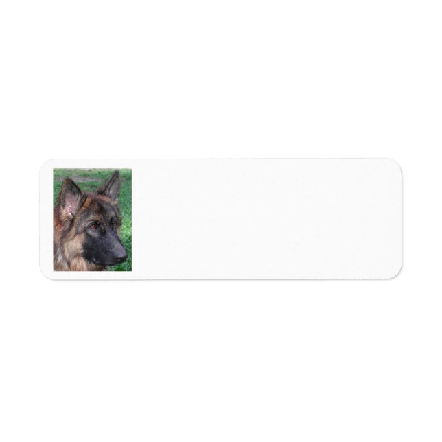 german shepherd label (Front)