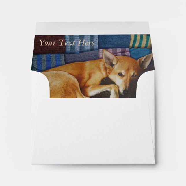 german shepherd labrador mixed breed dog  envelope (Back (Bottom))