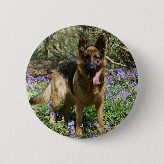 German Shepherd Laying Down Button (Front)