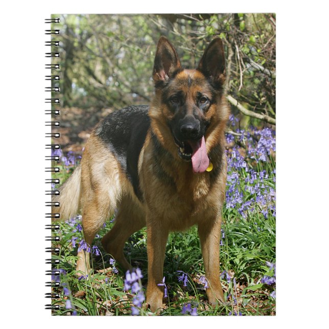 German Shepherd Laying Down Notebook (Front)