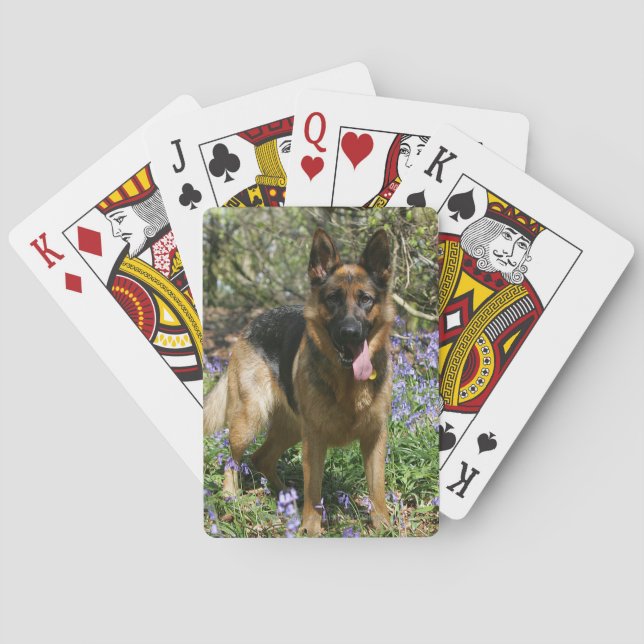 German Shepherd Laying Down Poker Cards (Back)