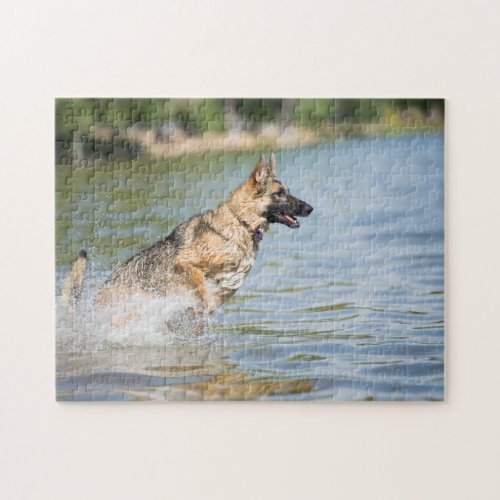 German Shepherd Leaps Into Water Jigsaw Puzzle