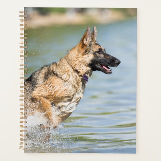 German Shepherd Leaps Into Water Planner (Front)