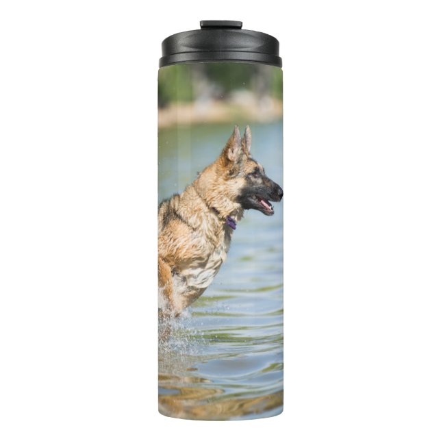 German Shepherd Leaps Into Water Thermal Tumbler (Front)