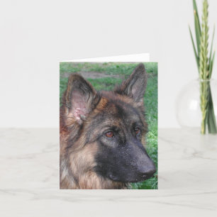 german shepherd letterpress thank you card