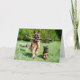 German Shepherd Letterpress Thank You Card