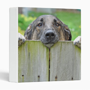 German Shepherd Looking Over Fence 3 Ring Binder