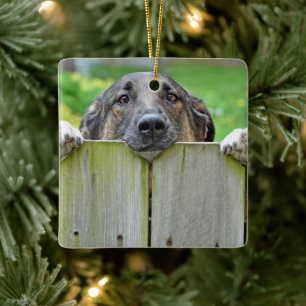 German Shepherd Looking Over Fence Ceramic Ornament