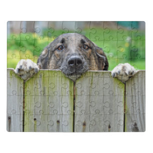 German Shepherd Looking Over Fence Jigsaw Puzzle