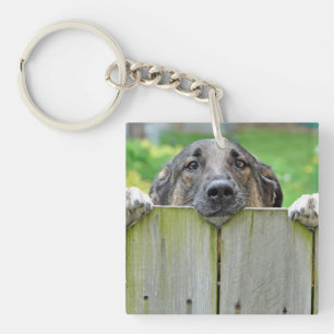 German Shepherd Looking Over Fence Keychain