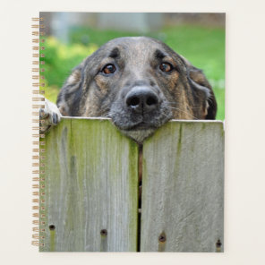 German Shepherd Looking Over Fence Planner