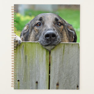 German Shepherd Looking Over Fence Planner