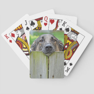 German Shepherd Looking Over Fence Poker Cards