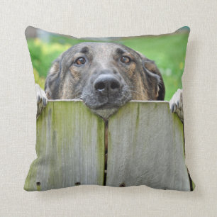 German Shepherd Looking Over Fence Throw Pillow