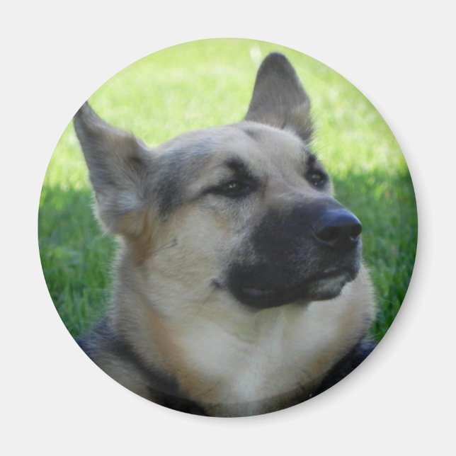 German Shepherd Magnet (Front)