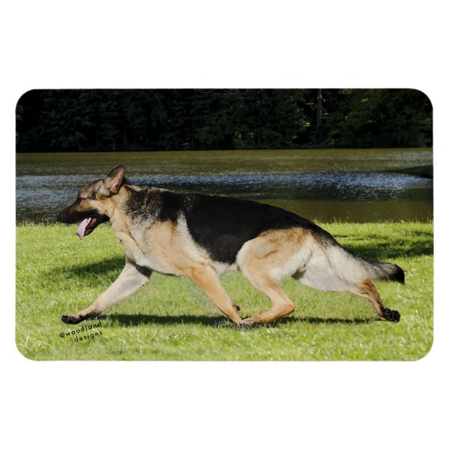German Shepherd Magnet (Horizontal)