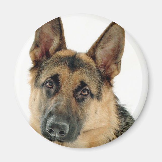 German Shepherd Magnet (Front)