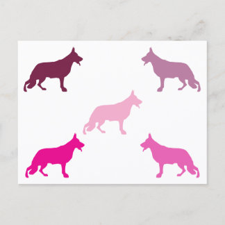 German Shepherd minimal pattern magenta  Postcard