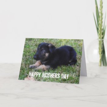 German Shepherd: Mothers Day Card by HolidayFun at Zazzle