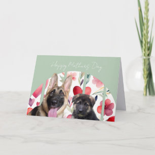 German Shepherd: Mothers Day Card