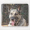 German Shepherd  Mouse Pad